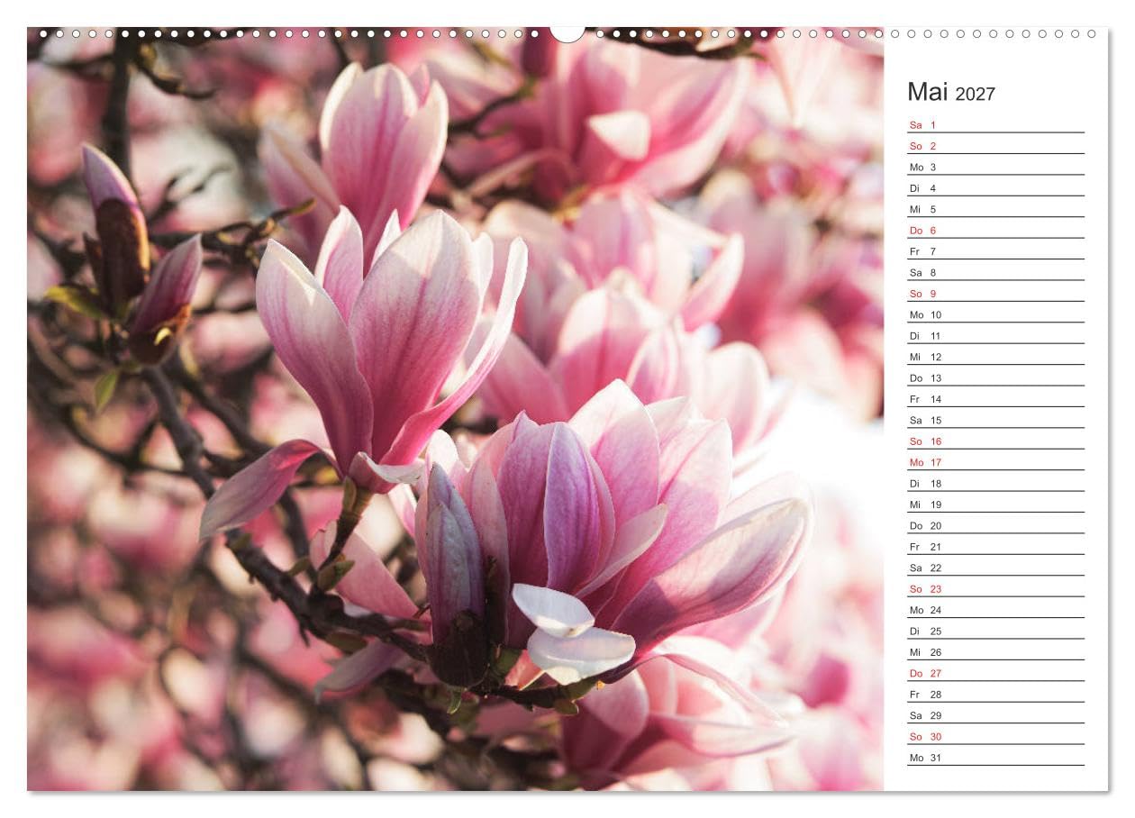 CALVENDO - Blumenfreude Terminkalender (Wandkalender 2027 DIN A2 quer), Monatskalender: Mit wunderschönen bunten Blumen und Blütenbilder durch das Jahr