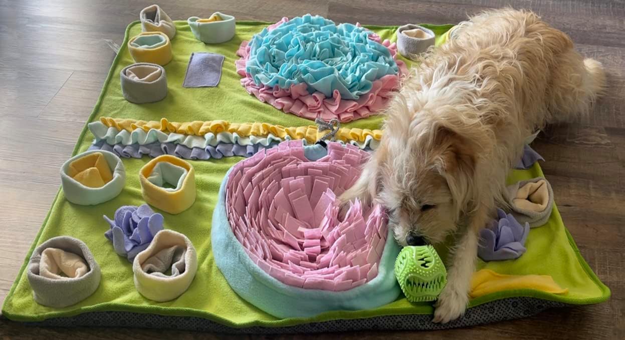 Piggy Poo and Crew Double Bowl Snuffle Foraging Mat with a Treat Ball and Squeakers for Dogs Pigs Rabbits Cats Small Animals