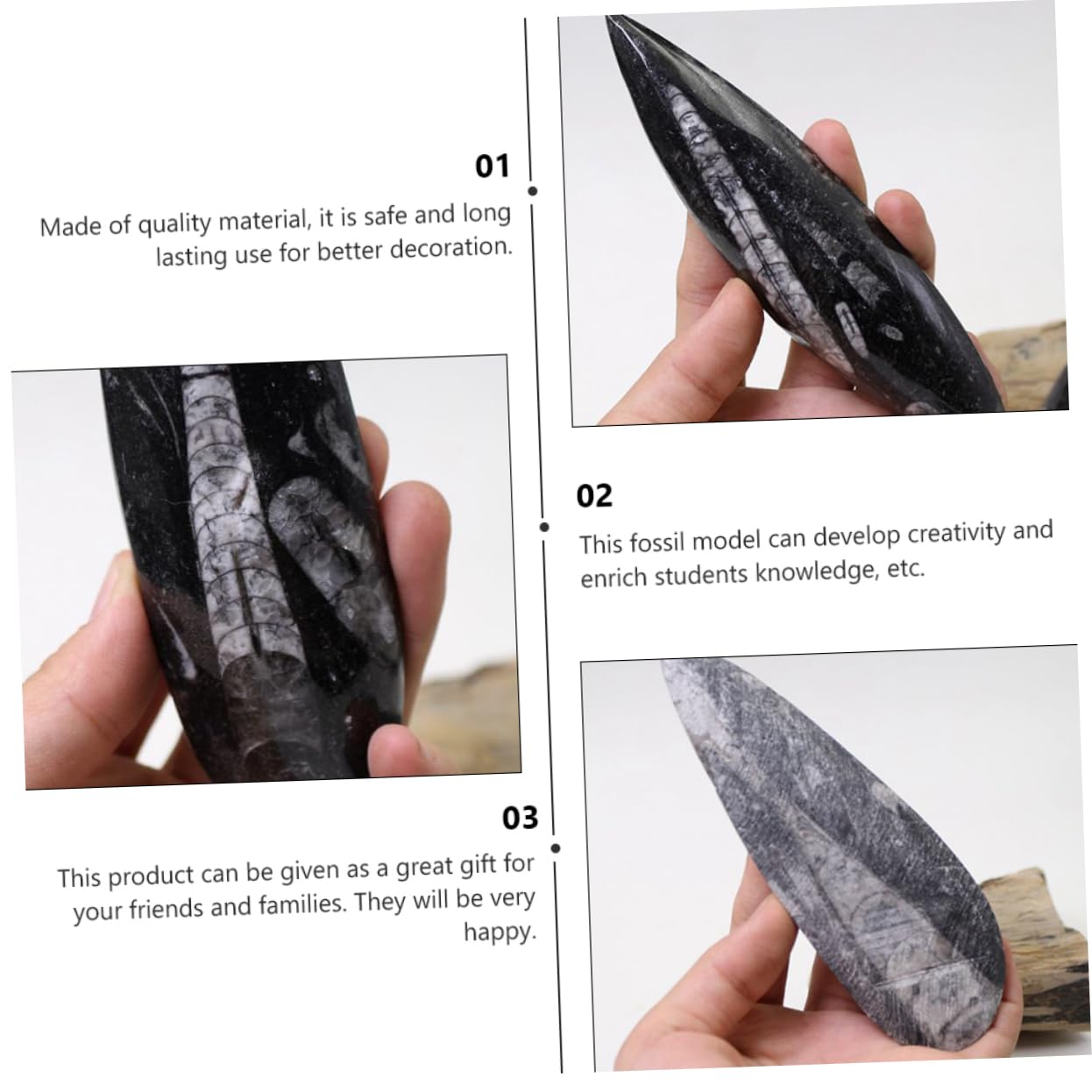 TOYANDONA Campione Fossile Orthoceras Paleo-oceano Naturale per Educazione Scientifica e Decorazione da Scrivania, Materiale Didattico per Paleontologia e Giocattolo Educativo per Ragazzo