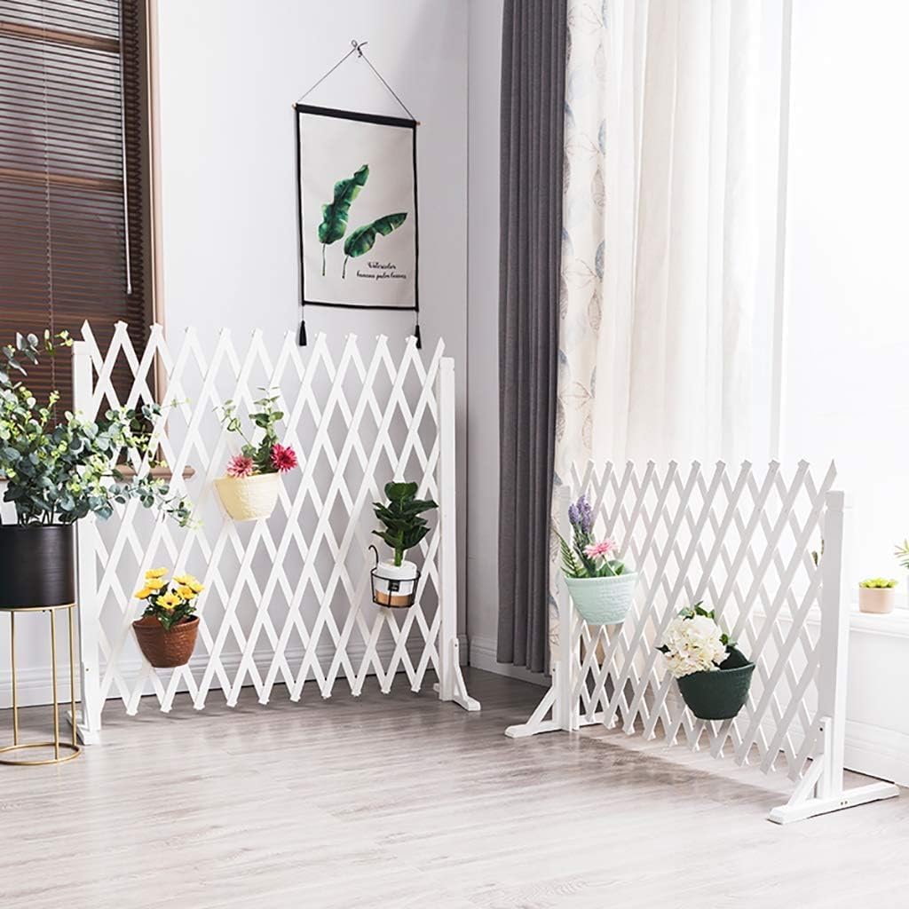 24時間以内発送！コンビニ支払いも歓迎！】カンゴク入道(金トレジャー