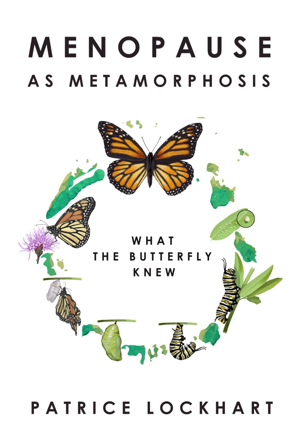 Menopause As Metamorphosis - What The Butterfly Knew: Menopause Relief & Transformation for Women Over 40: Self Help For Midlife Renewal, Emotional & ... for women going through the transition.