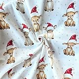 PAWOTEX FABRYKA DZIANIN