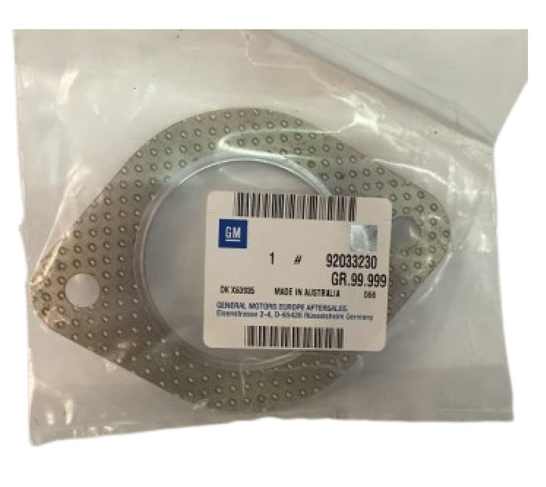 Amazon.com: General Motors 92033230, Catalytic Converter Gasket 