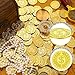 XGHSHW 300 Pcs Plastic Gold Coins Treasure Pirate Fake Coins Carnival Halloween Party Favors 1.4 in Fake Money Pirate Party Decoration Birthday Adventure Themed Supplies