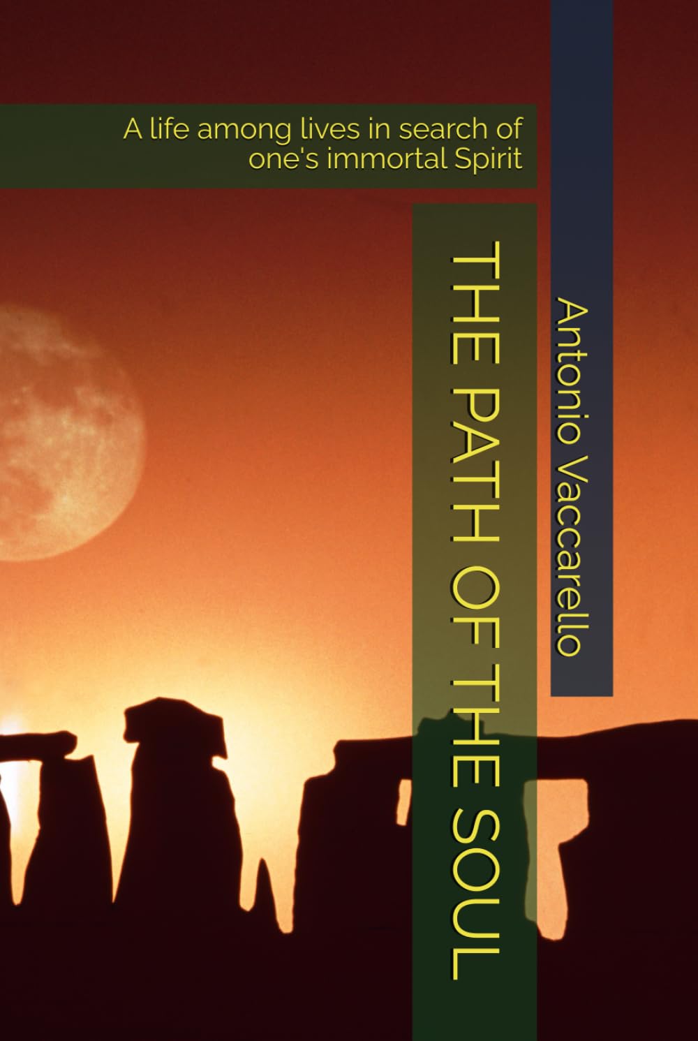 THE PATH OF THE SOUL: A life among lives in search of one's immortal Spirit (Cammino di Consapevolezza)