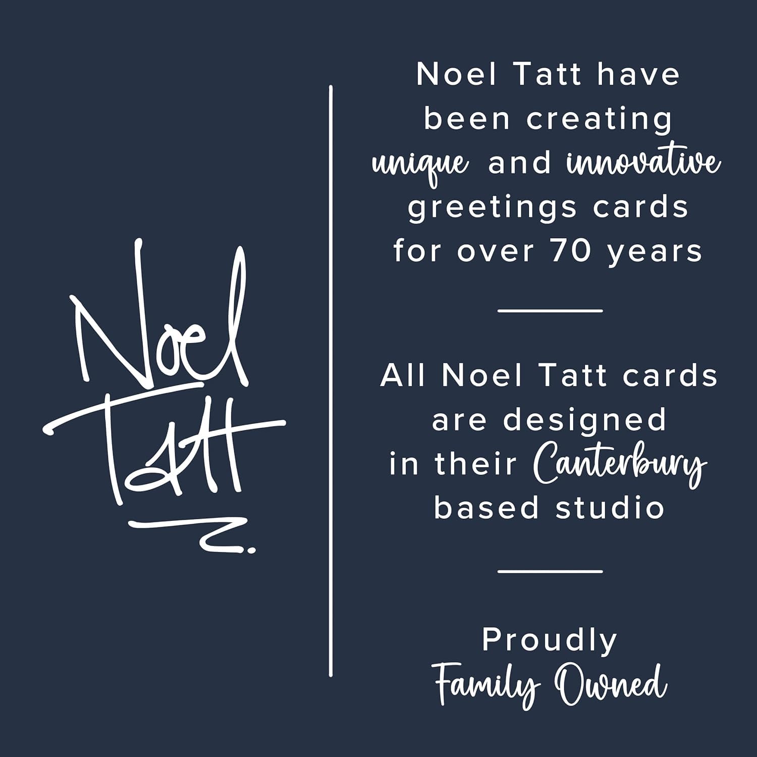 Noel Tatt Charity Christmas Cards Pack Of 10 - Robins And Winter Foliage Design - Festive