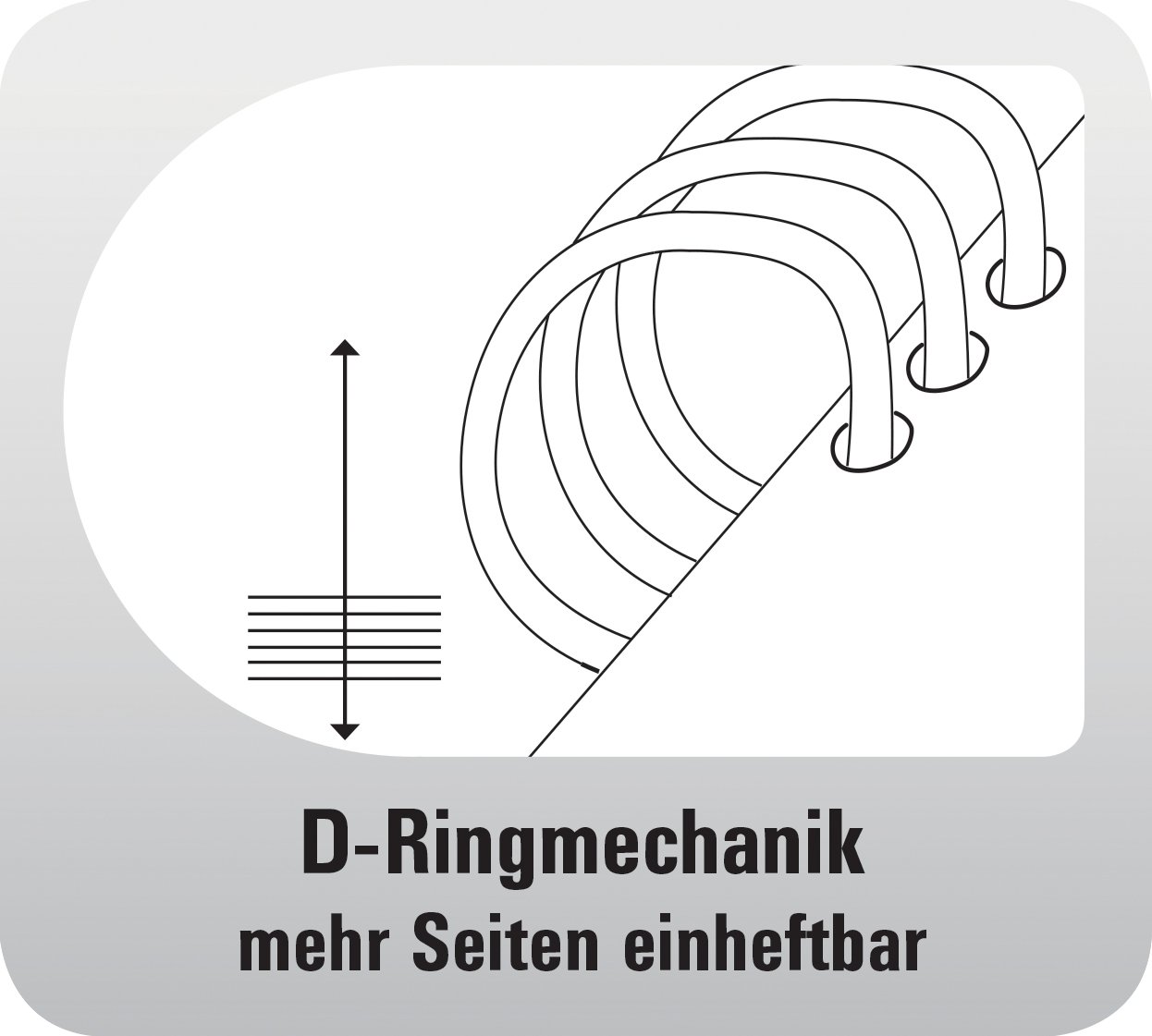 Chronoplan 50101 nachfüllbarer Terminplaner / Organizer / Terminkalender Mappe aus Premium Rindnappaleder (Format A5 (220 x 240 mm) mit Lasche, Ringbuch, ohne Kalendarium) schwarz
