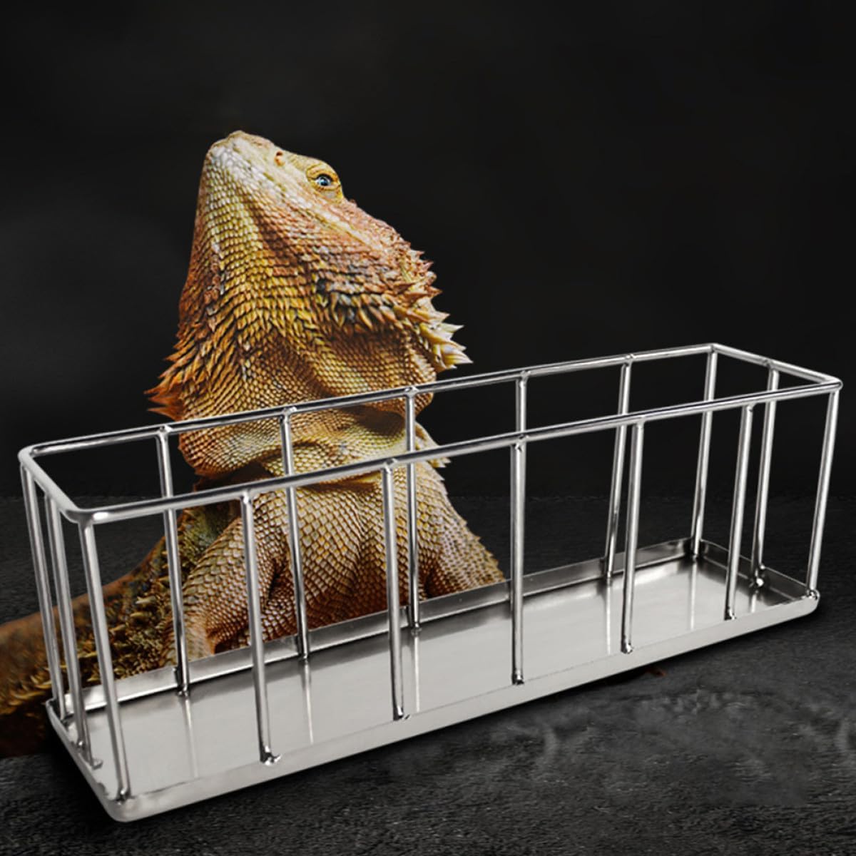 Stainless Steel Reptile Dish and Lizard Feeder Non-Rust Small Tortoise Water Bowl Pet Cage Feeder for Bearded Dragon and Tortoise Terrarium Supplies