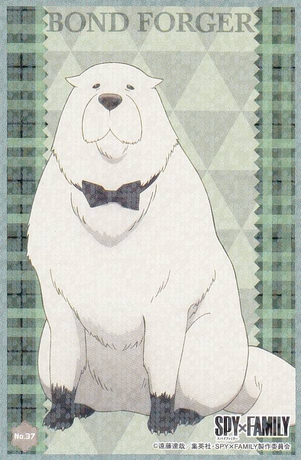 Amazon.co.jp: 【No.37 ボンド】 SPY×FAMILY ステッカーコレクション2