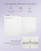 Vista 2 de Graywind Persianas enrollables inteligentes compatibles con Alexa Google, persianas motorizadas de tamaño personalizado para ventanas