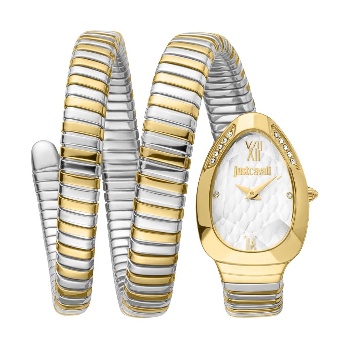 Just CavalliGlam Evo 9 Family Glam Watch for Women JC1L224M0065 (B0CZDJJW2Y) Amazon Price History, Amazon Price Tracker