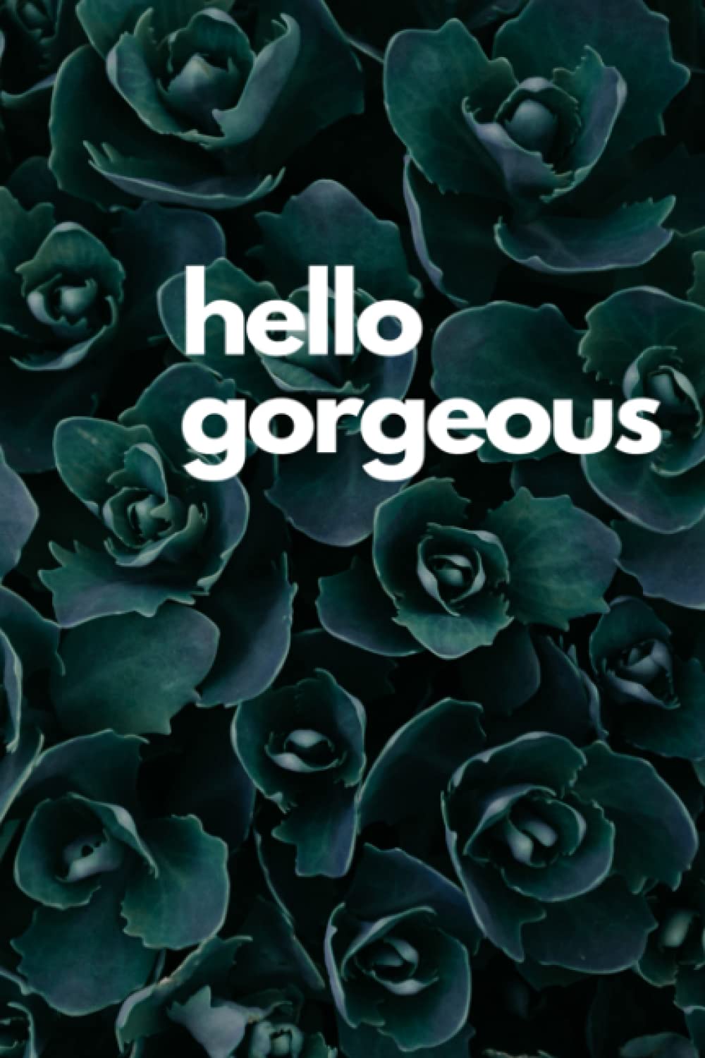 hello gorgeous notebook: 6x9 120 wide ruled pages for journaling or note taking