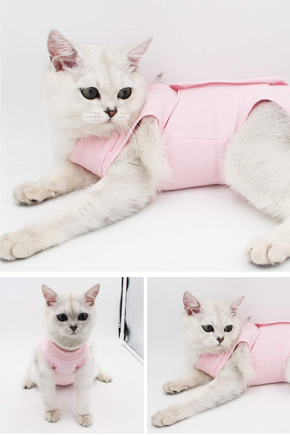Traje de recuperación Profesional para Gatos, Gata Camiseta de recuperación, heridas Abdominales Profesional para heridas, de recuperación quirúrgica Ropa Chaleco de pequeños Gatos (M, Rosado)