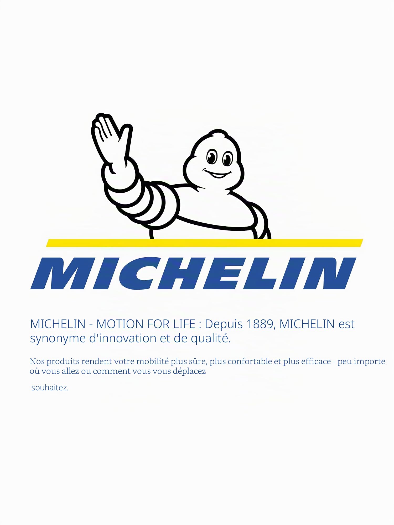 Michelin MX-ABS Lot de 4 enjoliveurs universels en Plastique ABS Noir/argenté 15"