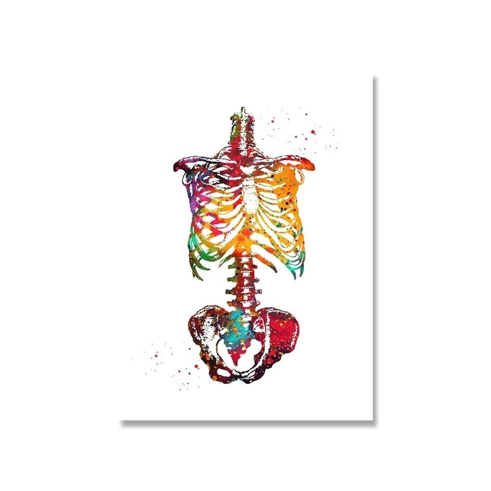 Système de muscles affiche anatomie humaine pour réviser la médecine