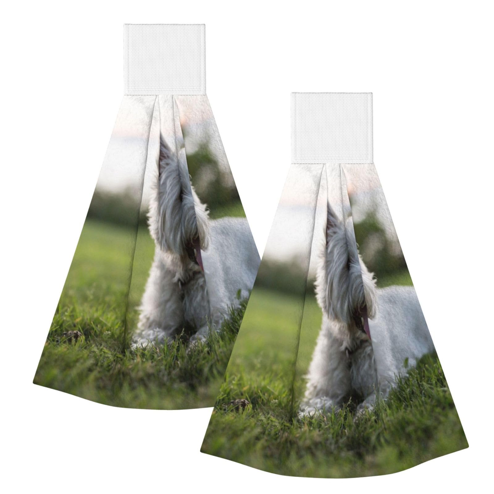 DOPKLNA Westie Lawn West Highland White Terrier Dogs, 2 Pcs Hanging Coral Fiber Hand Towels for Bathroom, Absorbent Kitchen Towels