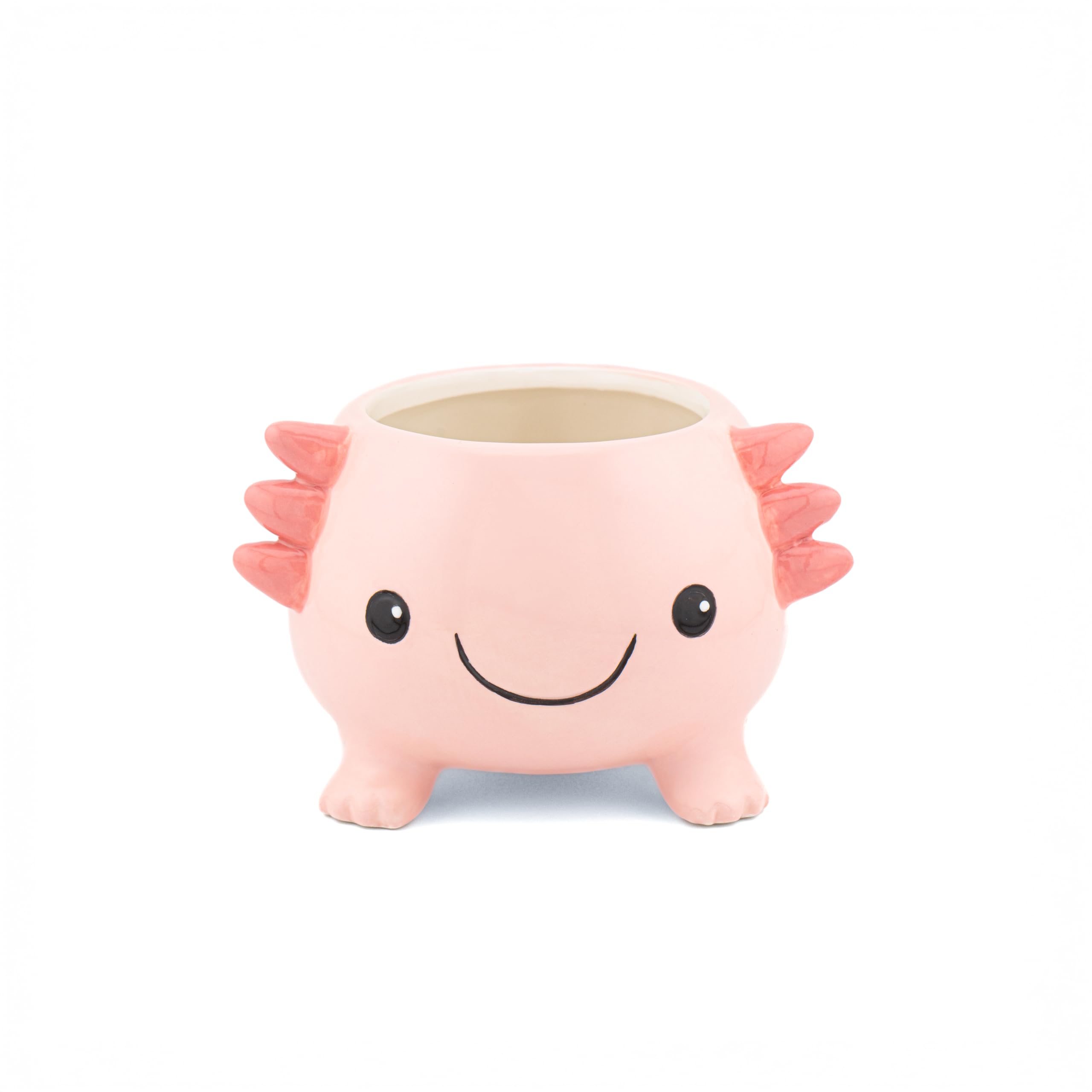 Sass & Belle Axolotl Planter - Indoor Plant Pot, Animal Design for Cactus or Succulent, Ceramic Planter for Home Décor, Flower Pot Designed by Sass and Belle