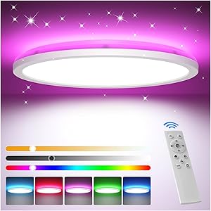 Tyreses Dimmable LED Ceiling Light, 24W RGB Dimmable Ceiling Lamp with Remote Control, Modern LED Ceiling Lamp for Bedroom…