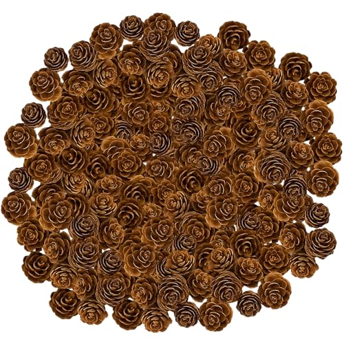 200 Pcs Christmas Pine Cones for Craft and Decoration Small Pinecones for DIY Projects Seasonal Home Decor Christmas Tree Ornaments 2-3cm Natural Pine Cones