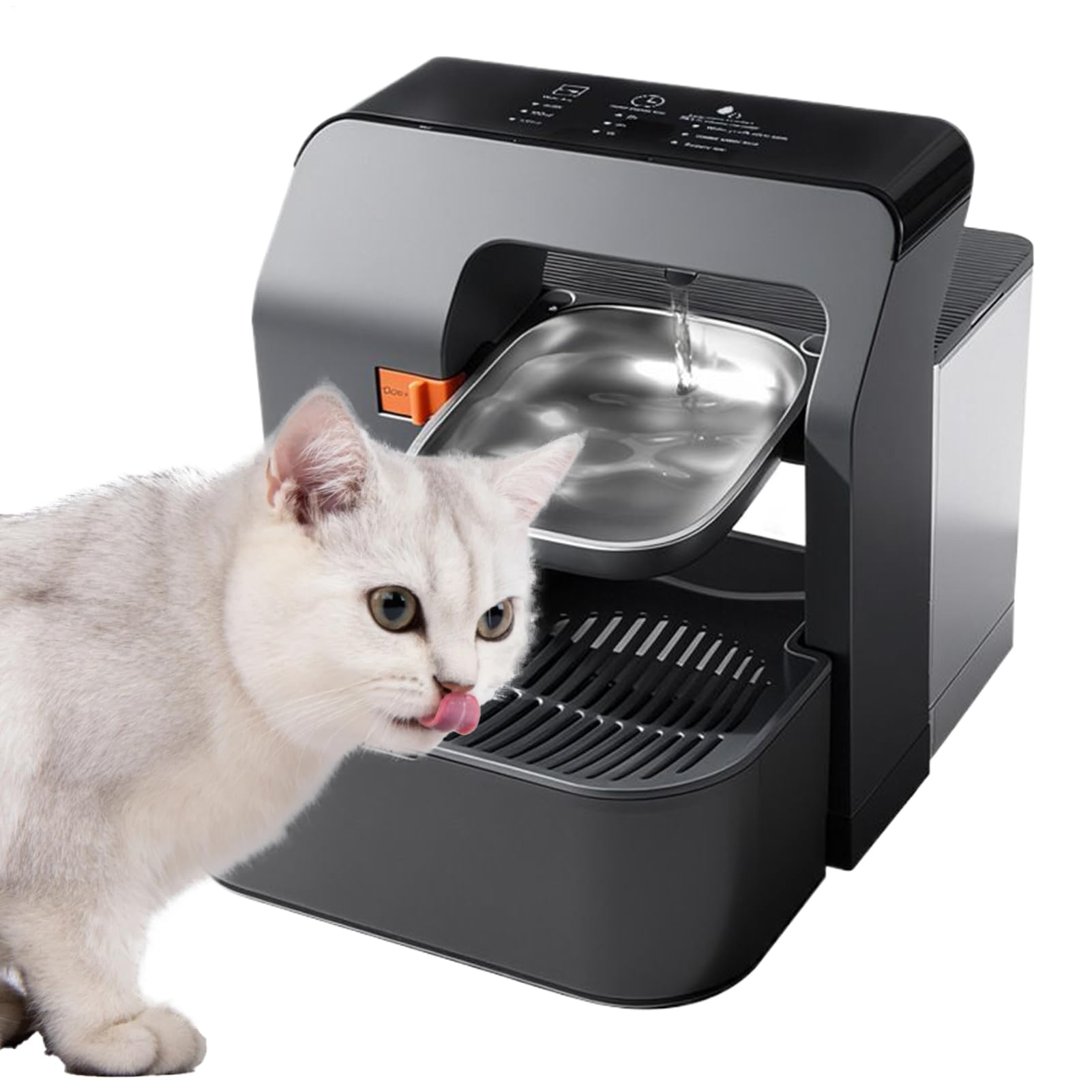 Dispenser Acqua per Cani Bevitore Silenzioso Da 3,2 Litri