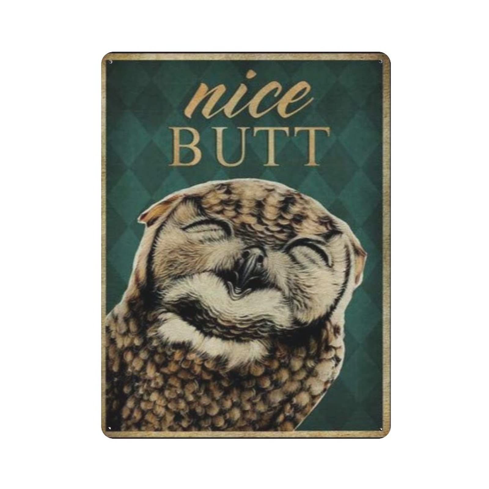 AOOEDM Nice Butt Owl Vintage Tin Sign Metal Tin Signs for Man Cave Funny Art Wall Plaque Kitchen Bar Pub Coffee Shop Wall Decor