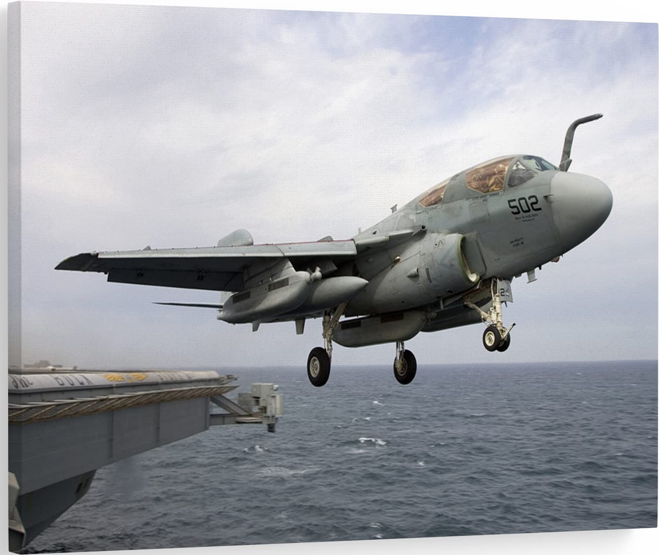 Amazon.co.jp: EA-6B 飛行機 キャンバス ウォールアート プリント