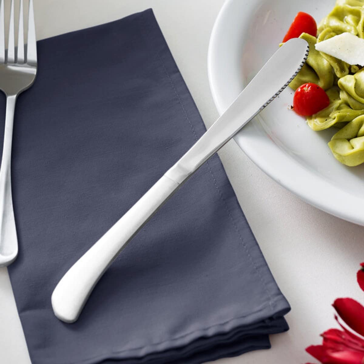 TrueCraftware- Set of 12 Stainless Steel Atlantic Dinner Knife- Stainless Steel Flatware Silverware Cutlery Kitchen Tableware Set for Home and Restaurant Butter Knife Spreader Table Knives