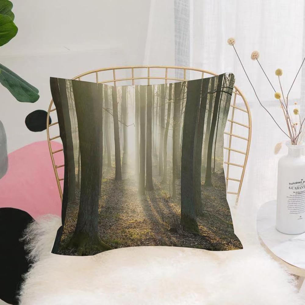 HYOSXW Cushion Cover,Throw Pillow Case Home Decorative for Living Room Bedroom Sofa Chair 16X16 Inch,Morning mist in the forest, forest, Daintear light, nature,Pillowcase 40X40cm