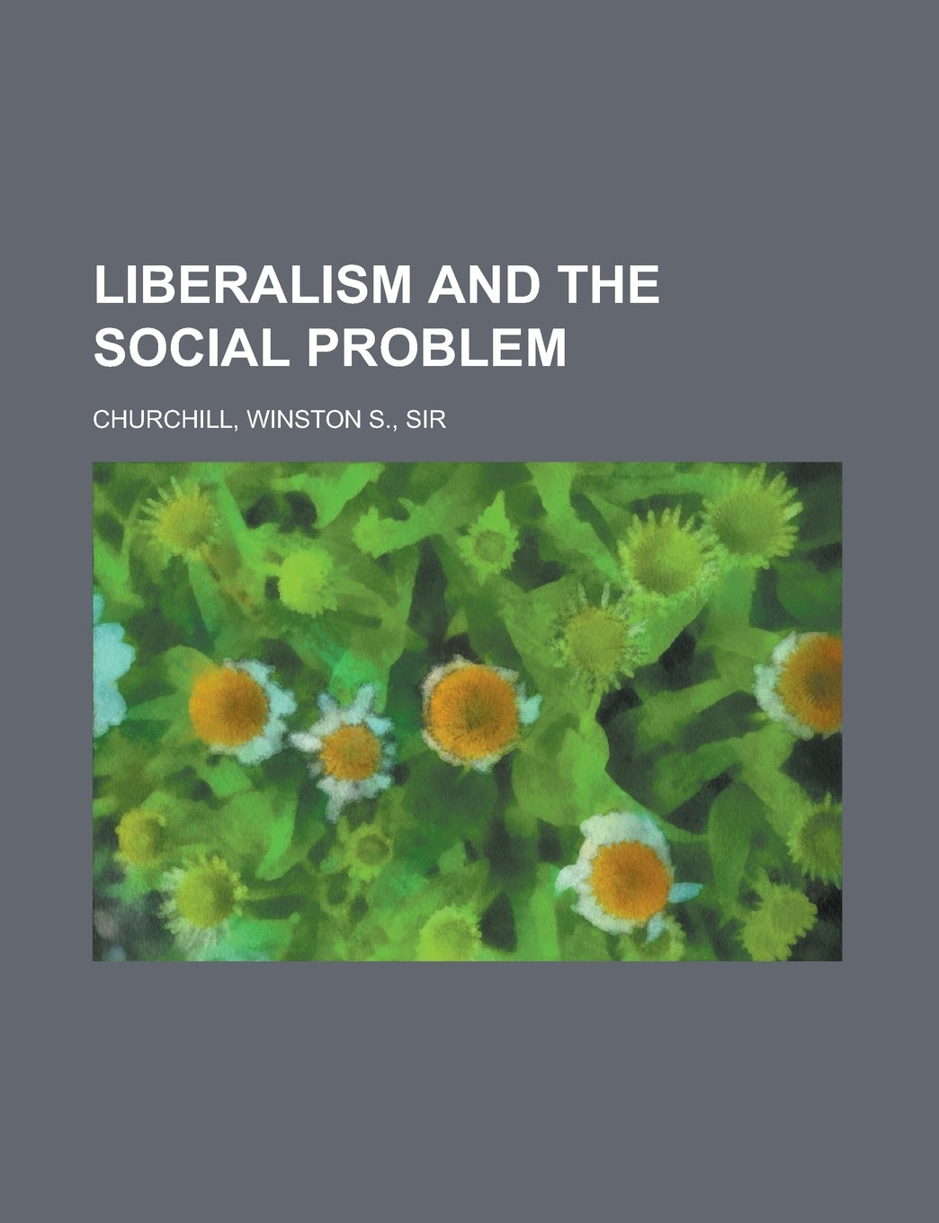 Buy Liberalism and the Social Problem — BookShops.in