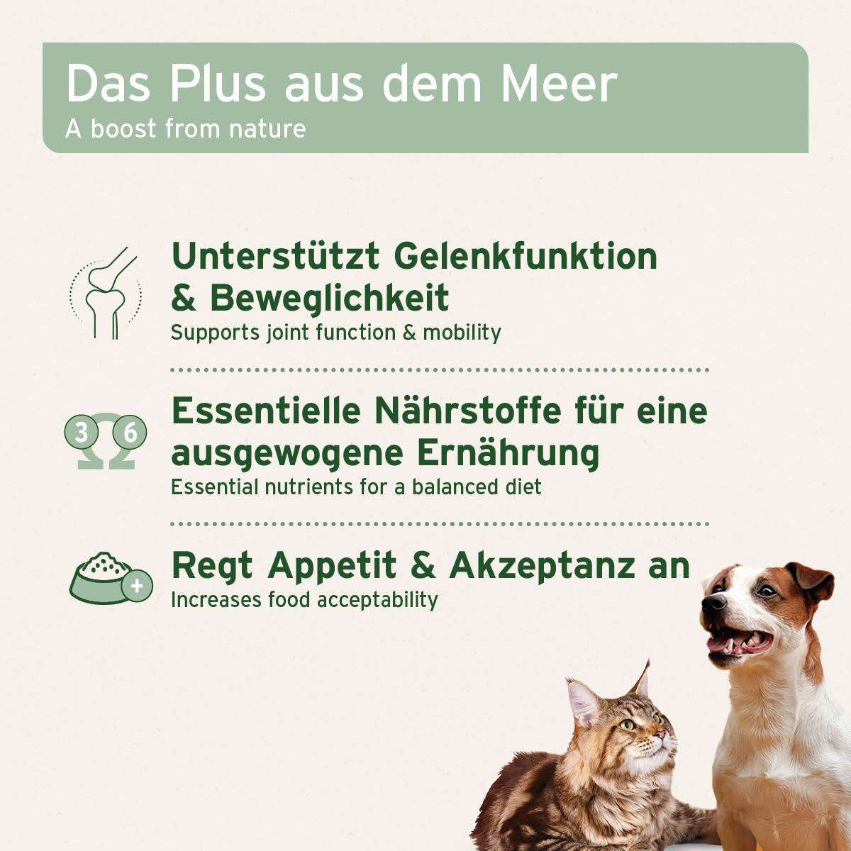 AniForte Muschelkraft für Hunde & Katzen 250 g - 100% natürliche Blaumuschelpulver mit Omega-3 & Omega-6 für Gelenke, Vitalität, Fell & Haut
