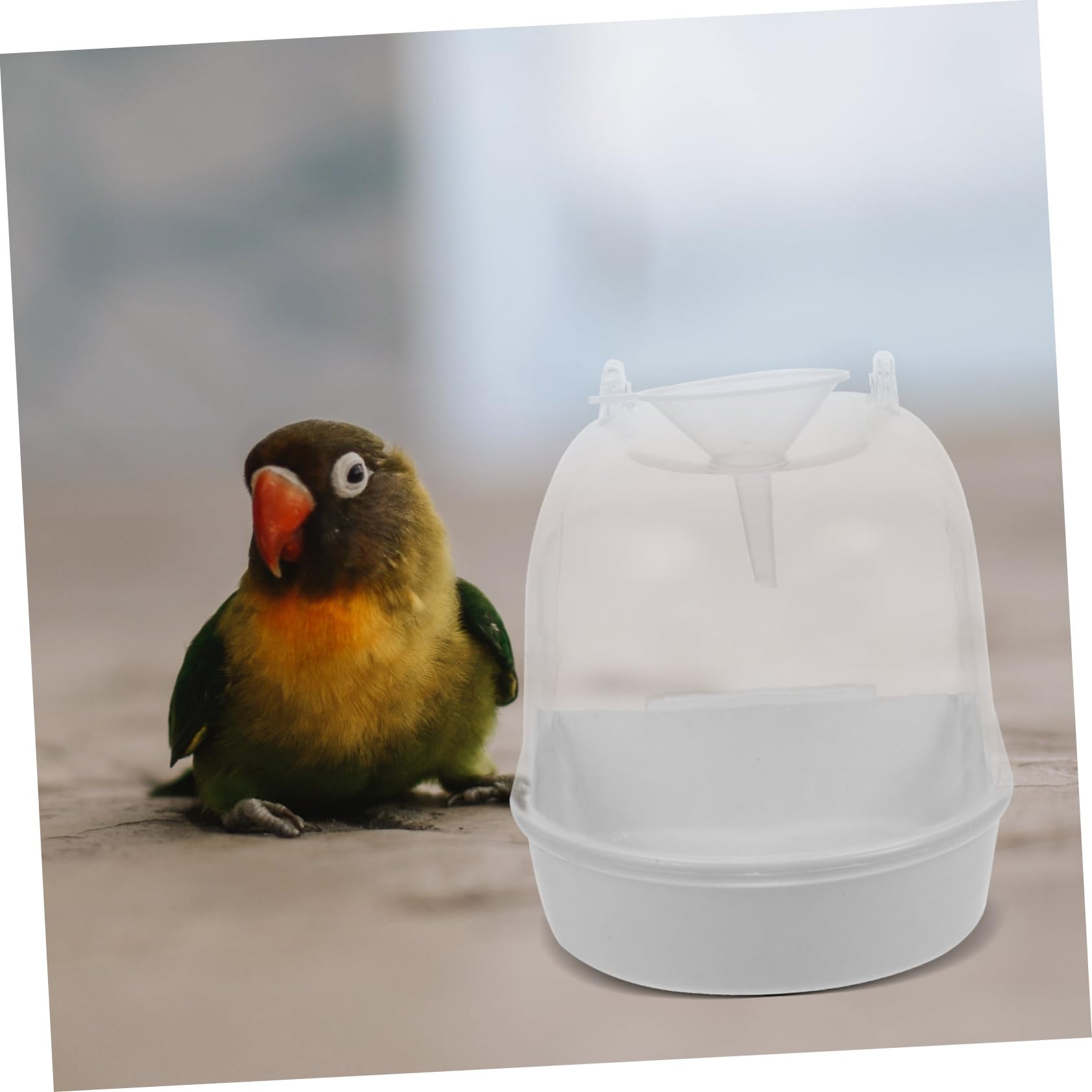 Housoutil 2 Vasche da Bagno per Pappagalli con Imbuto Leggere E Robuste per Piccoli Uccelli Bianche.