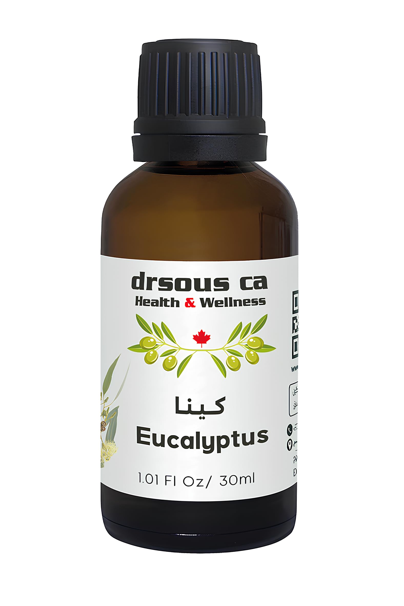 Drsous Ca Organic Eucalyptus Oil for Diffuser 30ml | 100% Pure and Natural Cold Pressed Eucalyptus Essential Oil for Aromatherapy, Skin care, and Muscle Relief | Made in Palestine