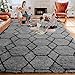 ONASAR 5x7 Area Rugs for Living Room Bedroom, Fluffy Grey and Black Throw Rug, Geometric Boho Soft Plush Shaggy Floor Carpet for Nursery Kids Girls Boys Teen Dorm Home Decor Aesthetic