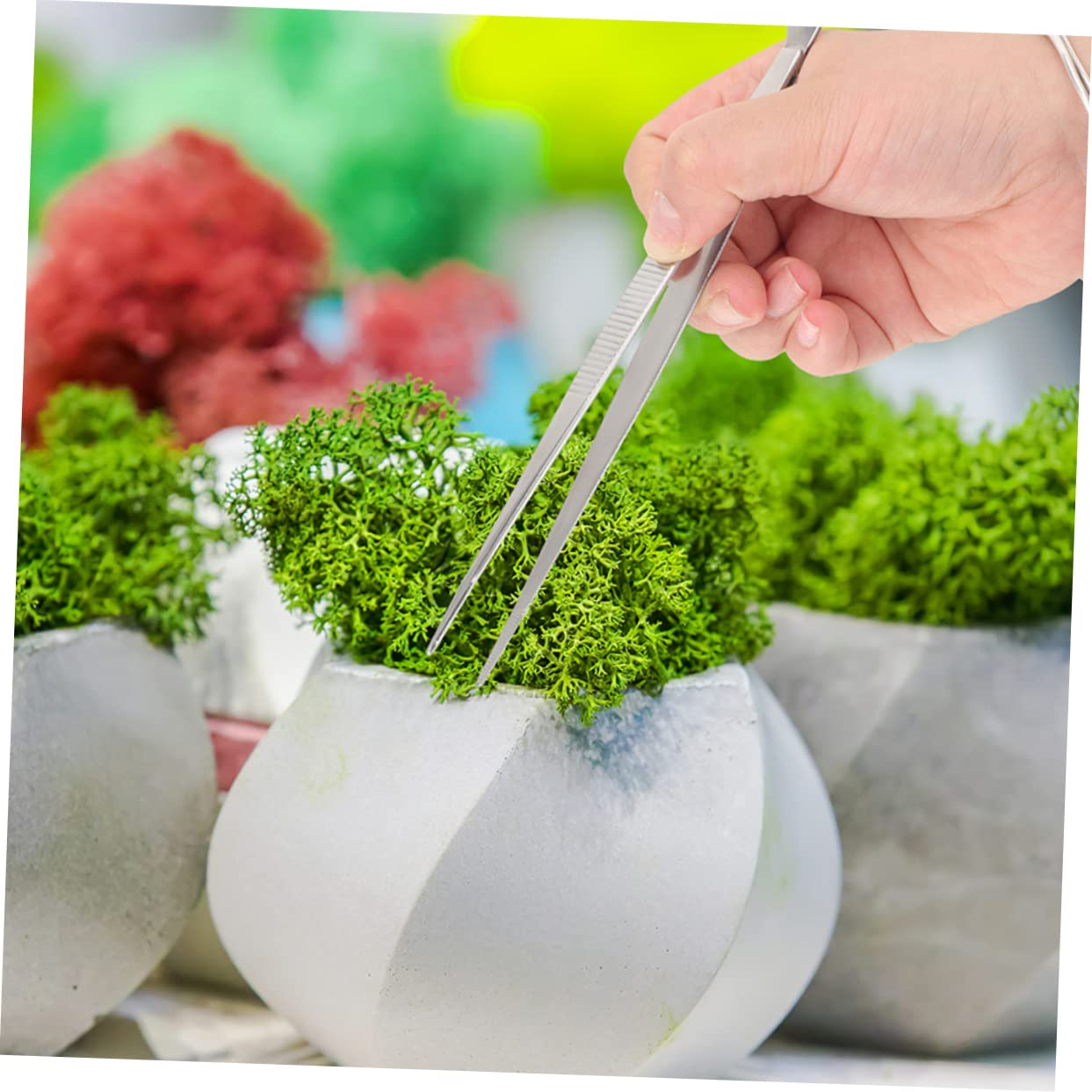 UKCOCO 3 Set Strumenti Per Bonsai Inossidabile Pinzette E Rastrello Per Giardinaggio Utensili Leggeri E Compatti Per Piante 2 Pezzi*3