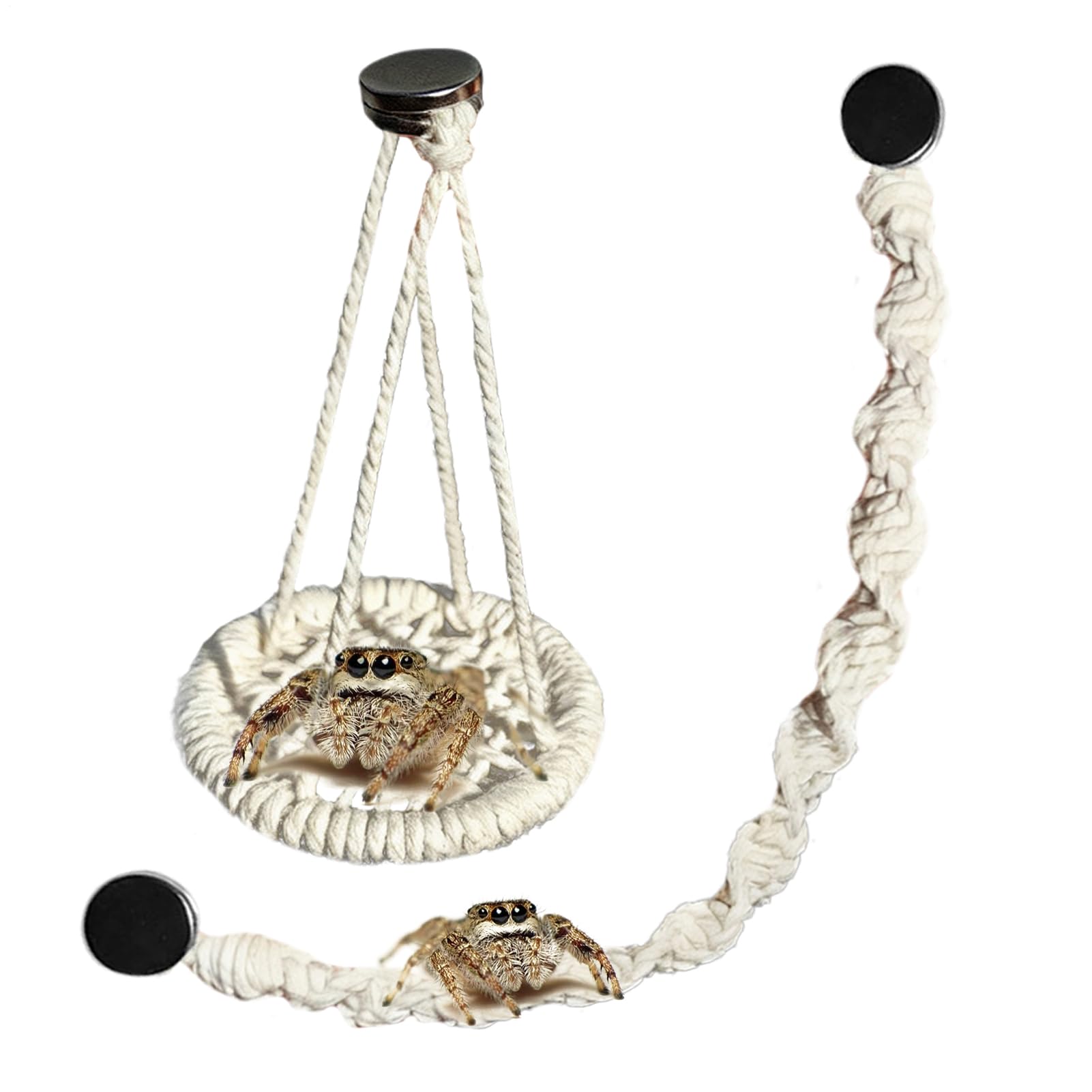 Jumping Spider Enclosure Accessories Set - Cotton Rope Bridge Swing Mounting Jumping Spider h-ide Accessories Kit, Fun Interactive Habitat Accessory For Enclosures Tarantula Mantis