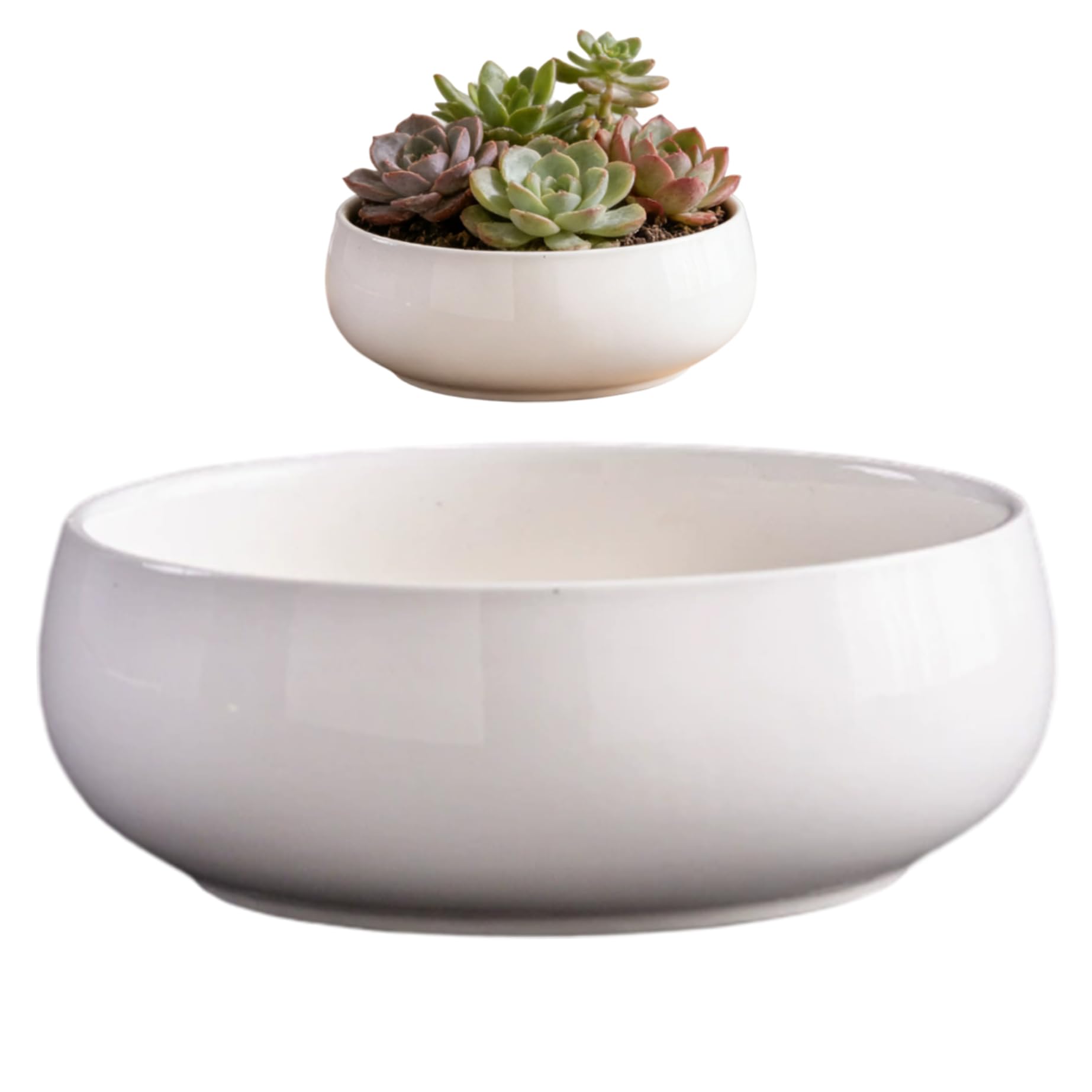 Pot de fleurs lotus en céramique blanche pour sublimer les petits espaces