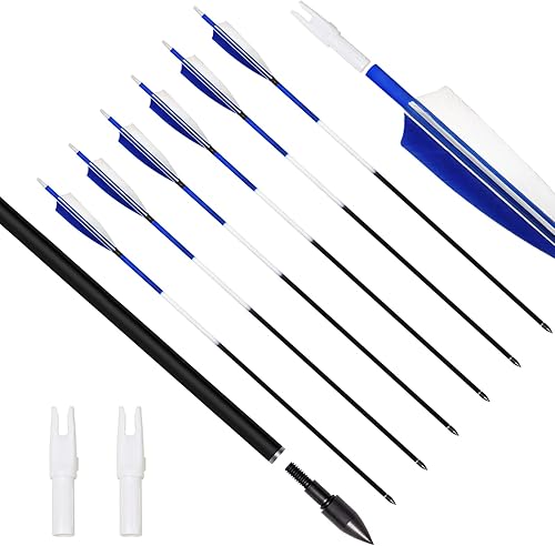 31Inch Carbon Arrows, Targeting Practice Hunting Arrow, Turkey Feather Fletching Arrow, with Removable Tips and nocks for Recurve & Compound Bow