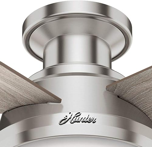 Miniatura 5 de Hunter Fan 44 inch Brushed Nickel Low Profile Ceiling Fan with Light Kit and Remote Control for Bedroom, Living Room, Dining Room, Kitchen, Office