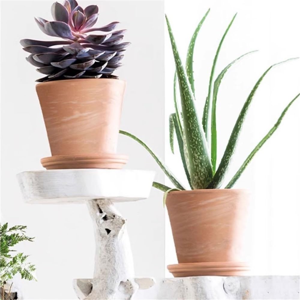 Versatile Sottovaso for piante in vaso piccolo in terracotta da 5,1 pollici