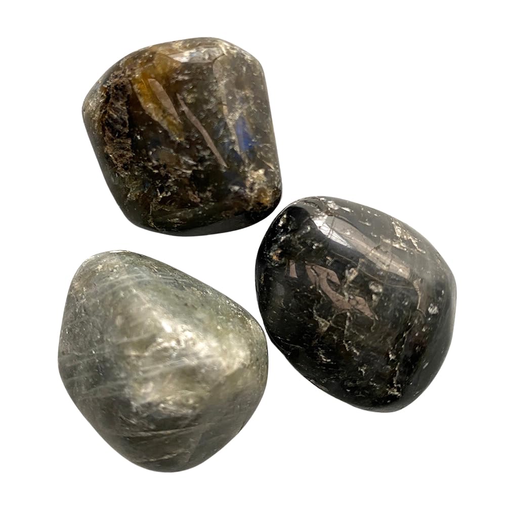 VIE Tumbled Crystals, Pack of 6, Labradorite