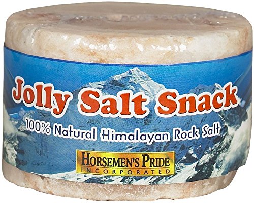 Jolly Pets Stall Snack Refill Salt