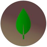 trentino trasporti Biology Botânica Quiz
