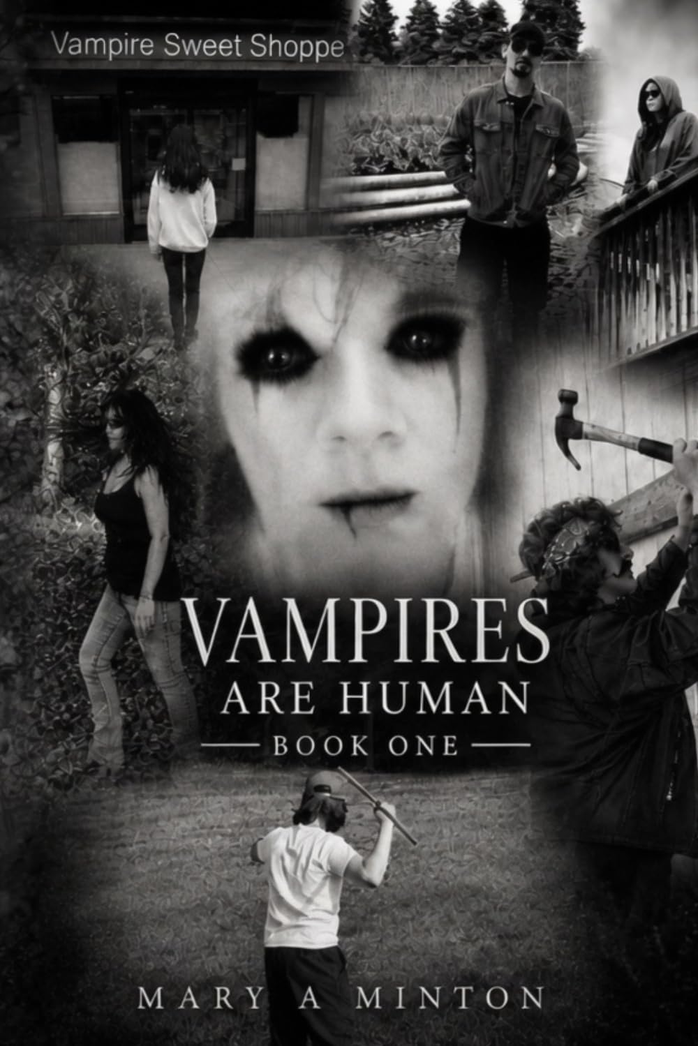 Vampires Are Human Book One