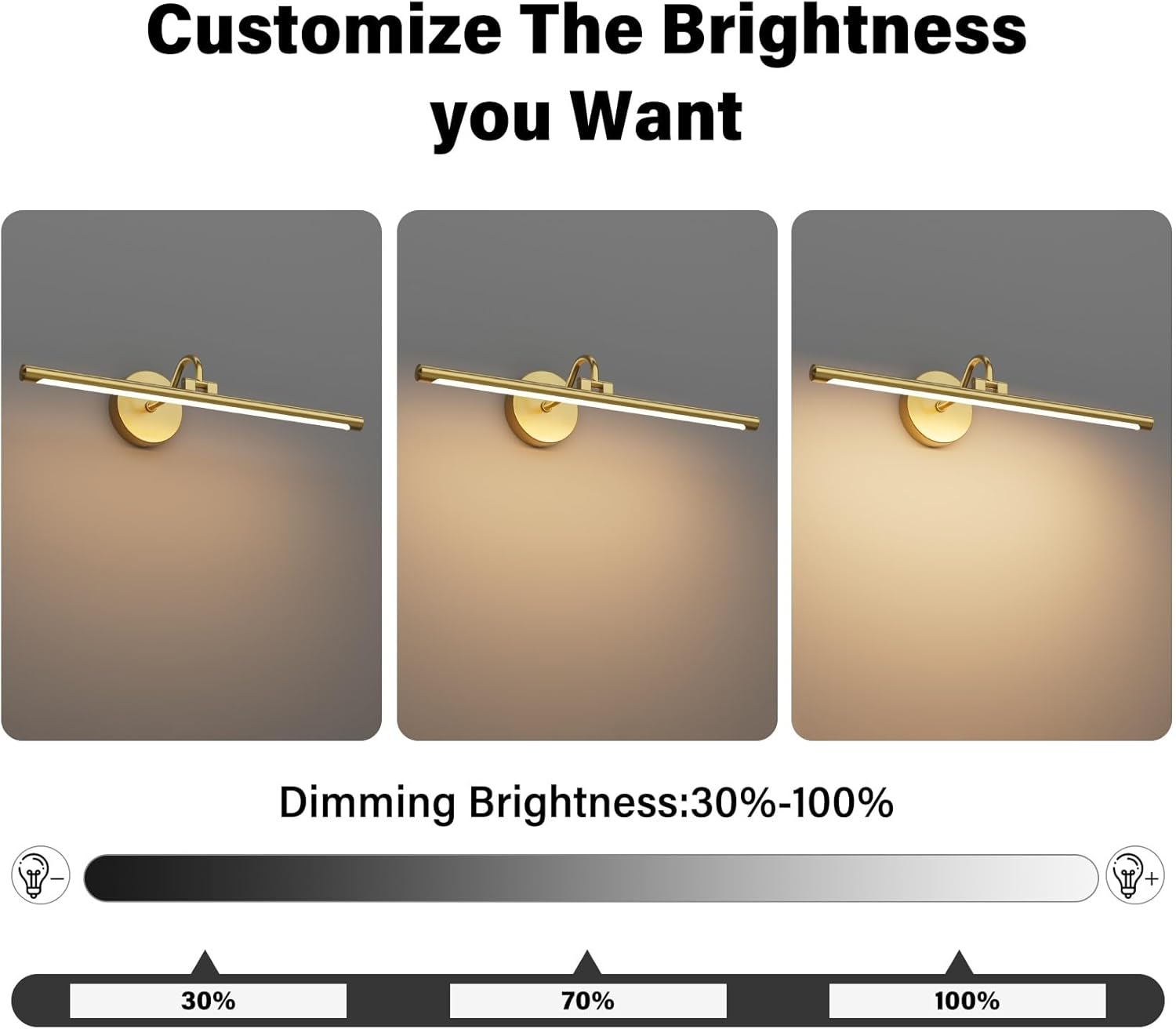 Tipace Hard-Wired LED Picture Lights for Paintings 3CCT Dimmable Long Art Lights for Paintings Gold Gallery Light with Remote Control Artwork Display Lamp(23.6 in)