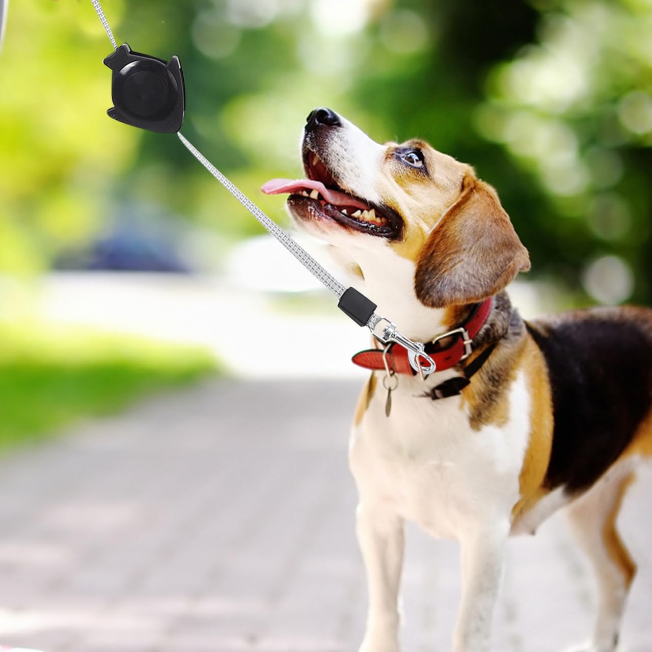 Alipis Automatische Einziehbare Hundeleine Rollleine Für Hunde Welpen Und Katzen Teleskop-Zugseil Mit Ergonomischem Griff Einhandbedienung Größe L 1 X Teleskop-Zugseil