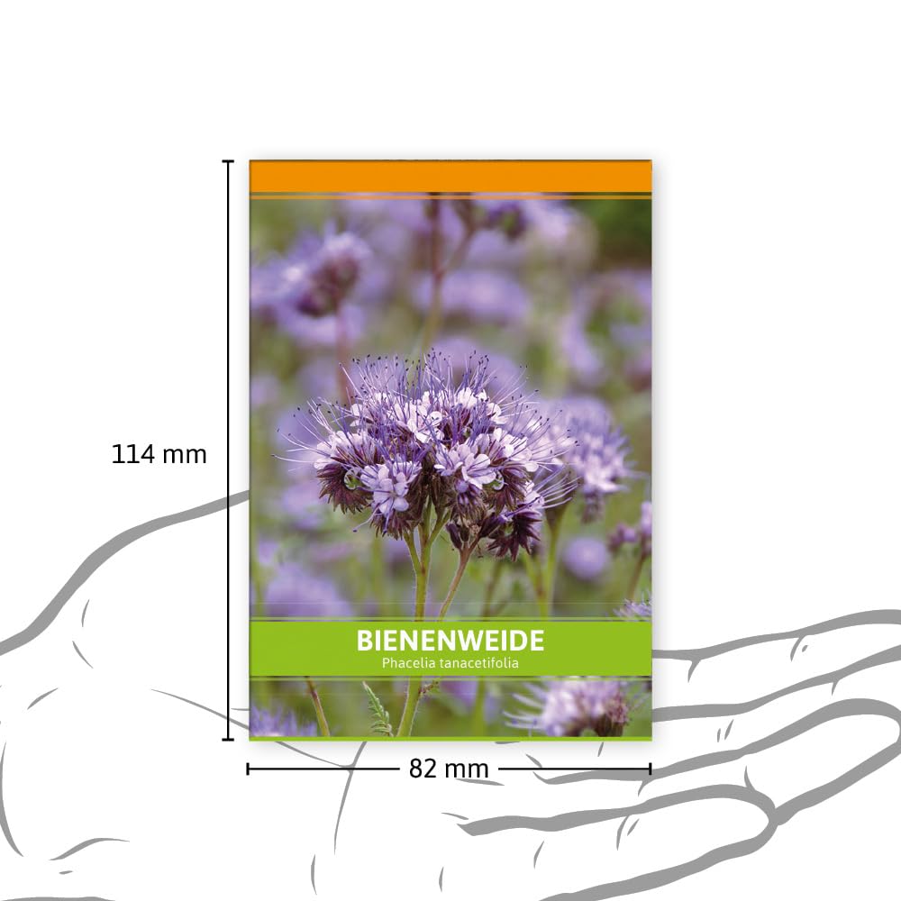FLORTUS Bienenweide für Gastgeschenke (100 Stück) | Phacelia Blumensamen für Bienen & Insekten als Dankeschön Geschenke & Werbegeschenke