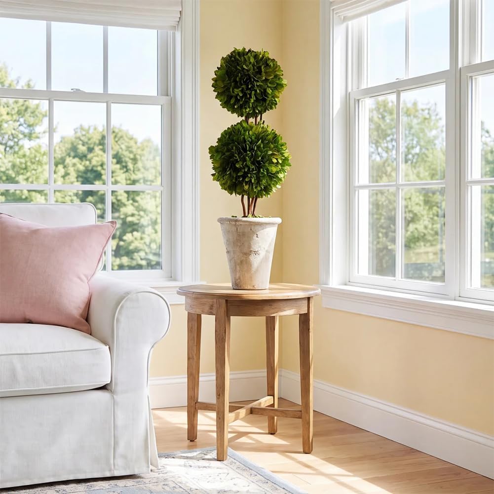 Real Preserved Boxwood Evergreen Potted Tree Globe Tree Topiary in Terracotta Planter, Home Decor Farmhouse (Double Balls Topiary, 20 inches)