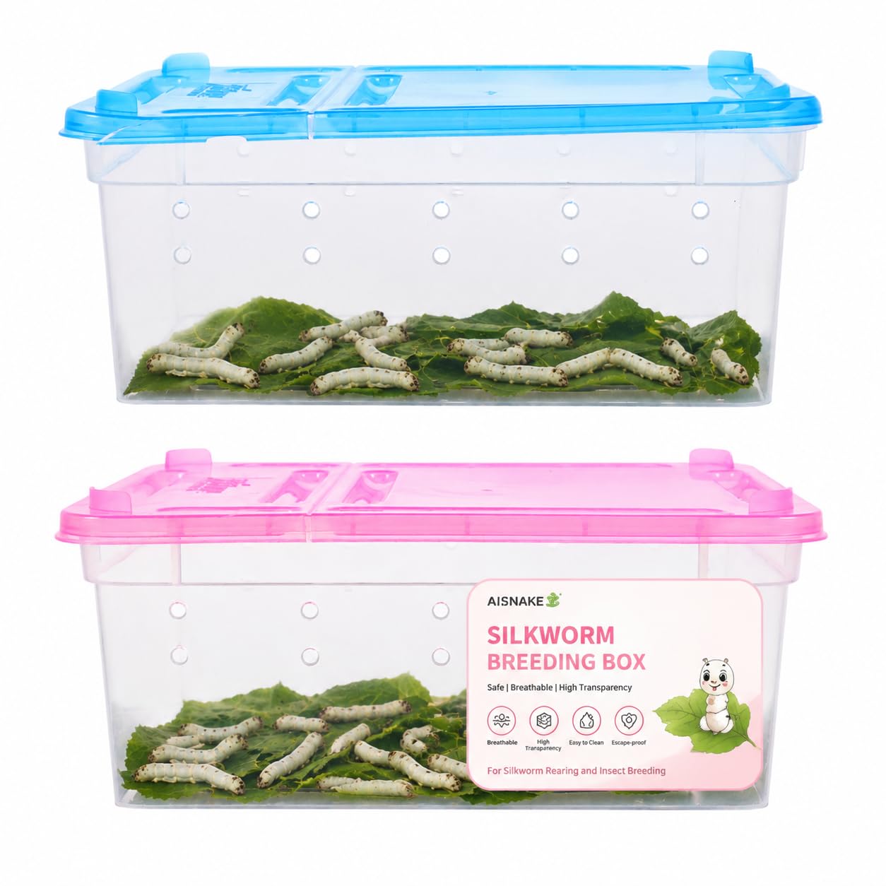 Alipis Plastic Reptile Terrarium Tank 2 PCS, Blue Pink Insect Enclosure Snail Box Habitat for Silkworm Breeding Jumping Spider Leopard Gecko Praying Mantis Cricket Small Bug Vivarium Transport