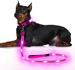 LED Dog Leash, YFbrite Light Up Dog Leash, 4 Feet Micro USB Rechargeable Dog Lead Light, Nylon Reflective Glow Safety Standard Leashes for Small Medium Large Dogs (Green)