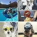 Cool Pet Dog Motorcycles Bike Helmet/Sunglasses for Sun Rain Protection,Funny Halloween Cosplay Costume for Cats Dogs (Black Sunglasses)
